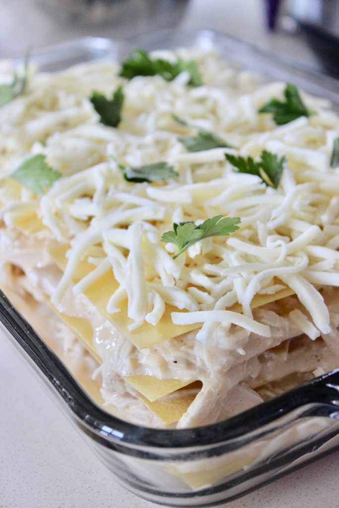 Chicken Alfredo Lasagna